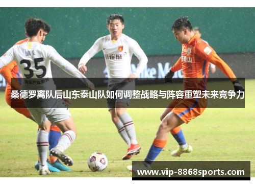 桑德罗离队后山东泰山队如何调整战略与阵容重塑未来竞争力 桑德罗离队后山东泰山队如何调整战略与阵容重塑未来竞争力