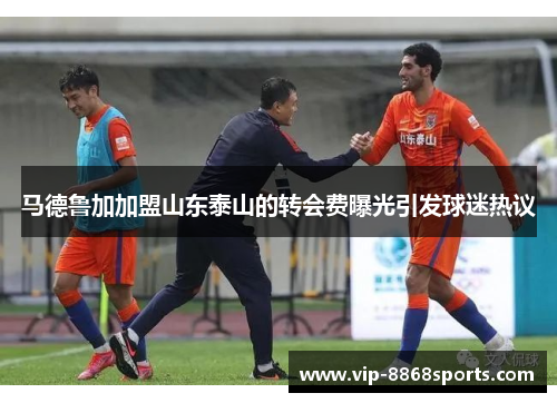 马德鲁加加盟山东泰山的转会费曝光引发球迷热议